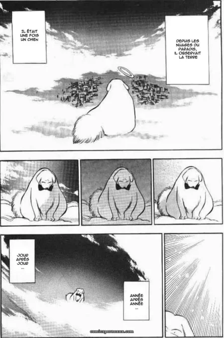 Chien auréolé, cul bombé et anus exposé observant la ville des nuages avec queue dressée, désir animal intense