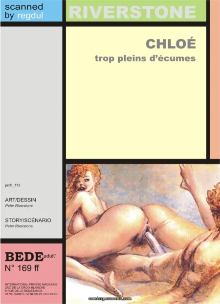 Chloé aux cheveux roux nue en pénétration anale par un homme, couverture BEDE adult N°169 par Peter Riverstone